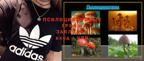 молекула духа Баксан